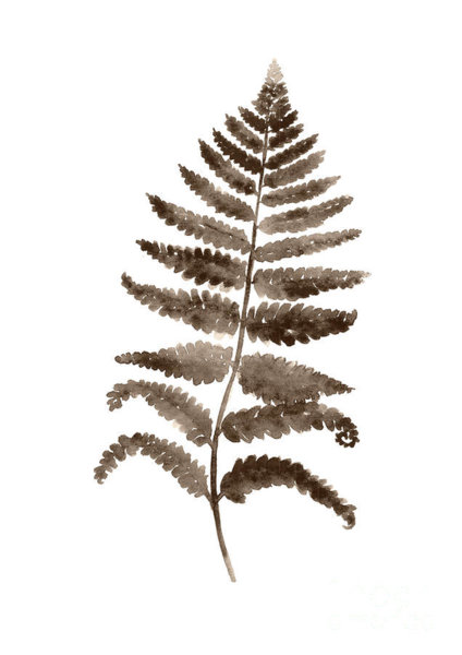 424x600 Fern Leaf Paintings Fine Art America
