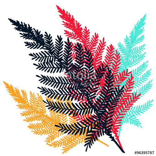 500x500 Vector Fern Set Hand Drawn Botanical Illustration Stock Image