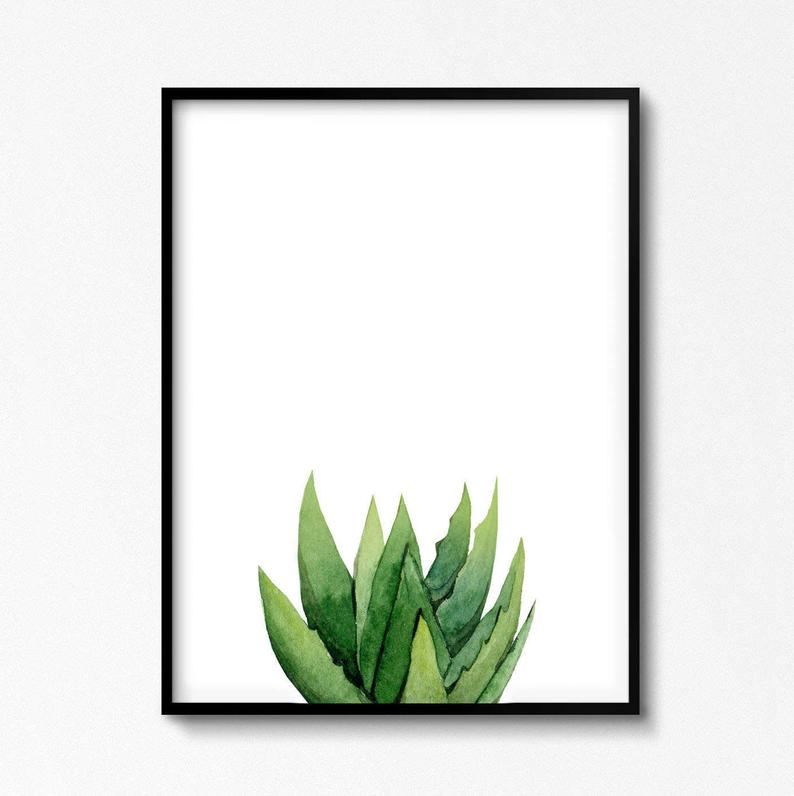 794x796 aloe plant art succulent painting botanical illustration etsy