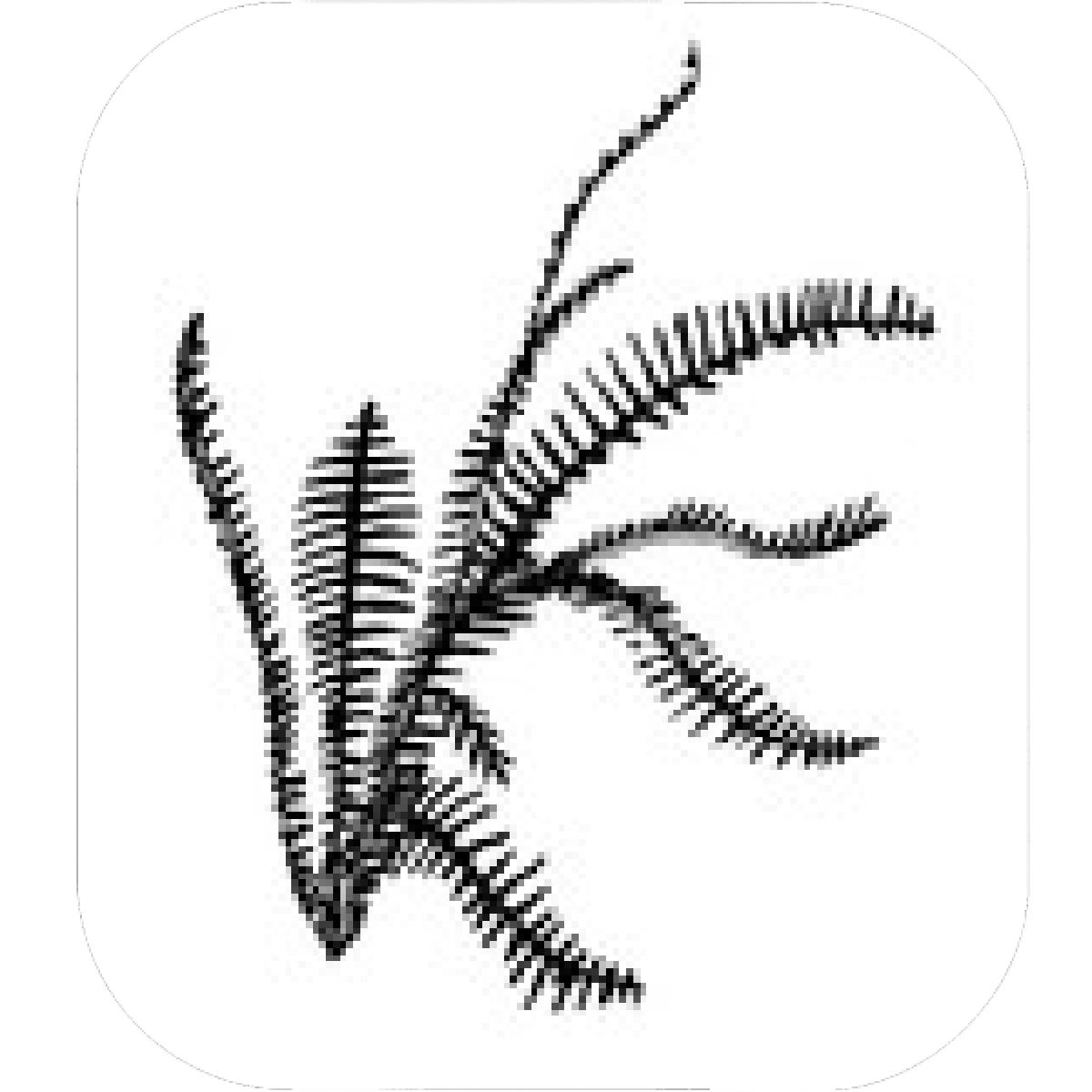 1200x1200 Designs Mein Mousepad Design Mousepad Selbst Designen