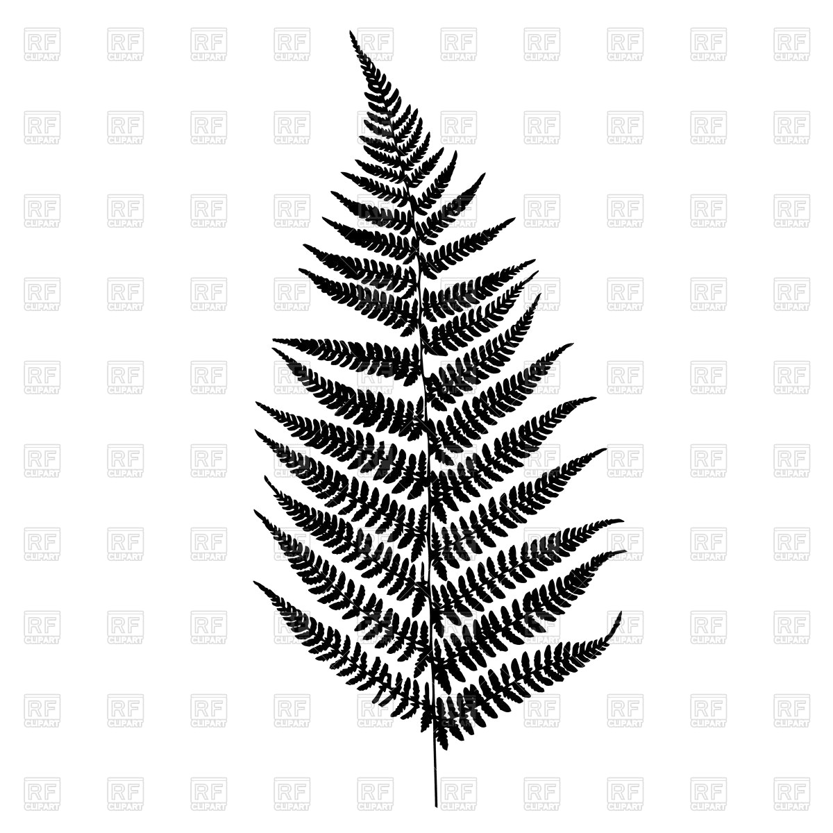 1200x1200 Fern Clipart