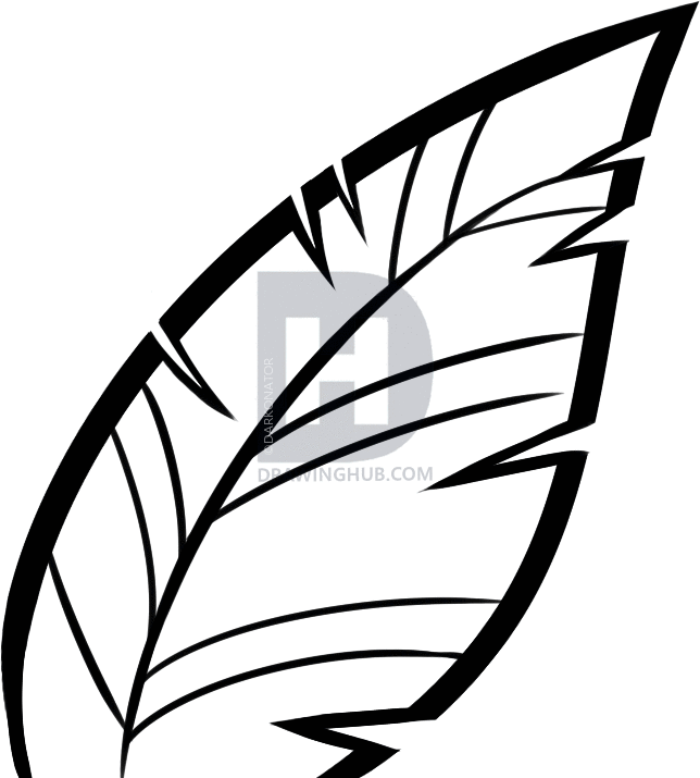 644x715 How To Draw A Fern, Step