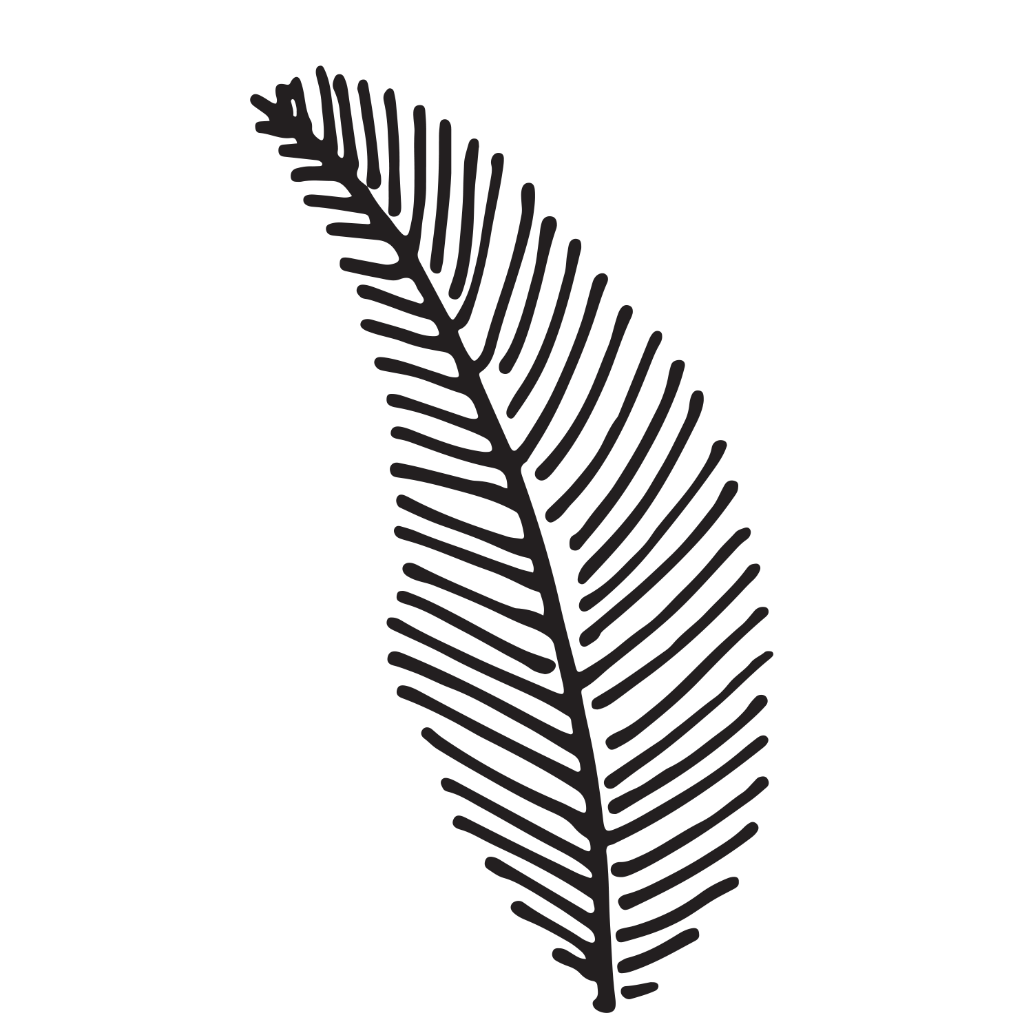 1500x1500 Kayla And Chris Fern Forest Nature Center Wedding Finding