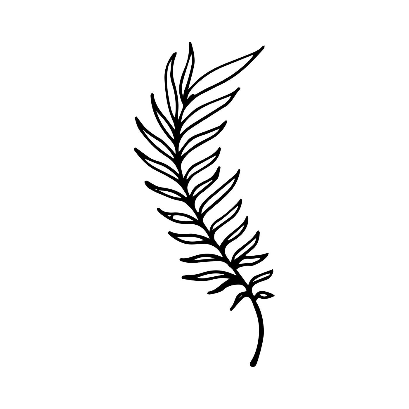 1400x1400 Fern Drawing Ink For Free Download