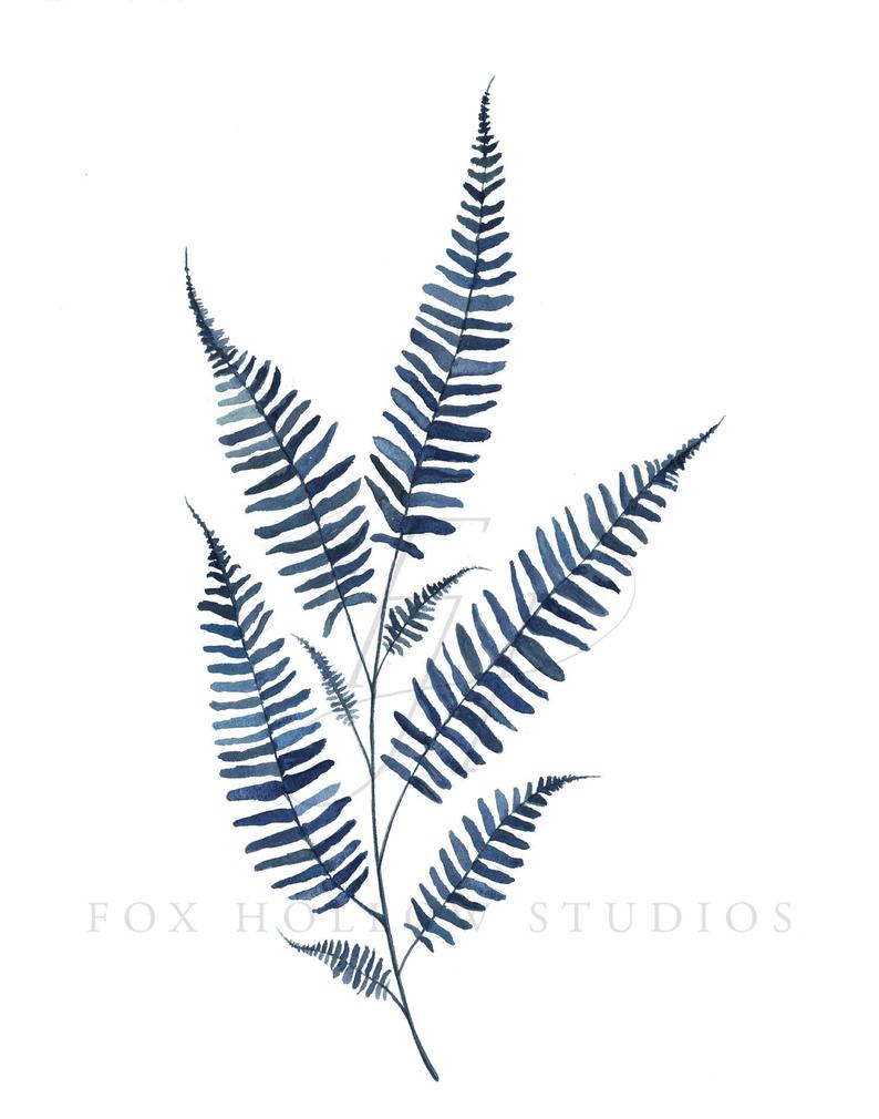 794x1010 blue fern no art print fern painting watercolor home etsy