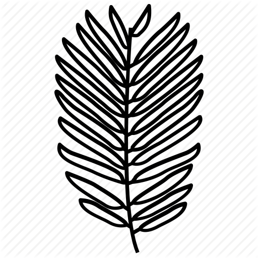 512x512 Drawn Fern Pine Leaf