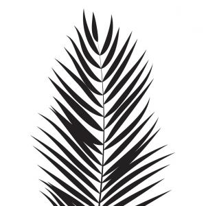 300x300 Fern Leaf Silhouette Vector Clipart Orangiausa