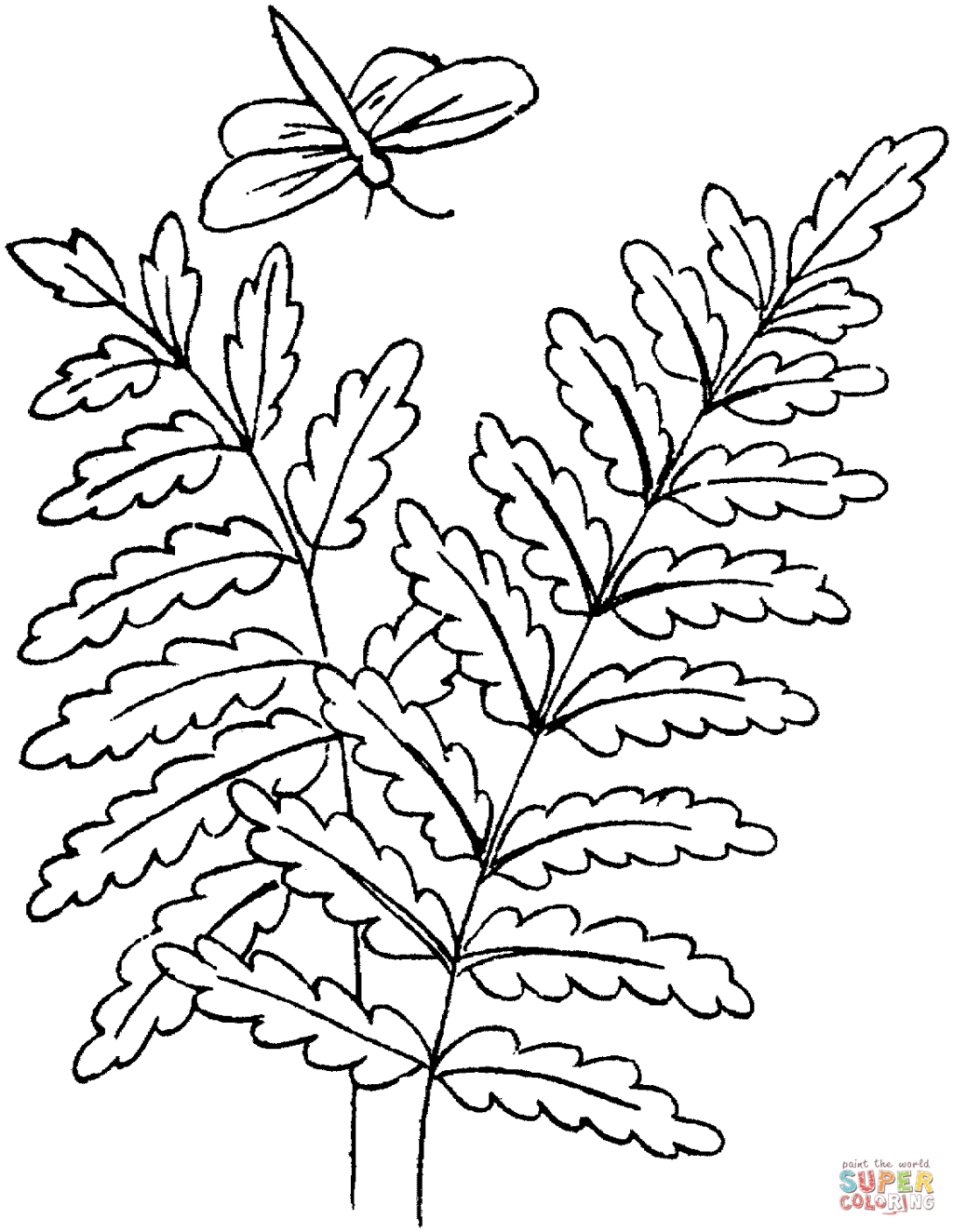 1024x1324 Fern Leaves And A Dragonfly Coloring