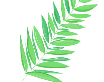 340x270 Fern Leaf Drawing Etsy