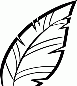 272x302 How To Draw How To Draw A Fern