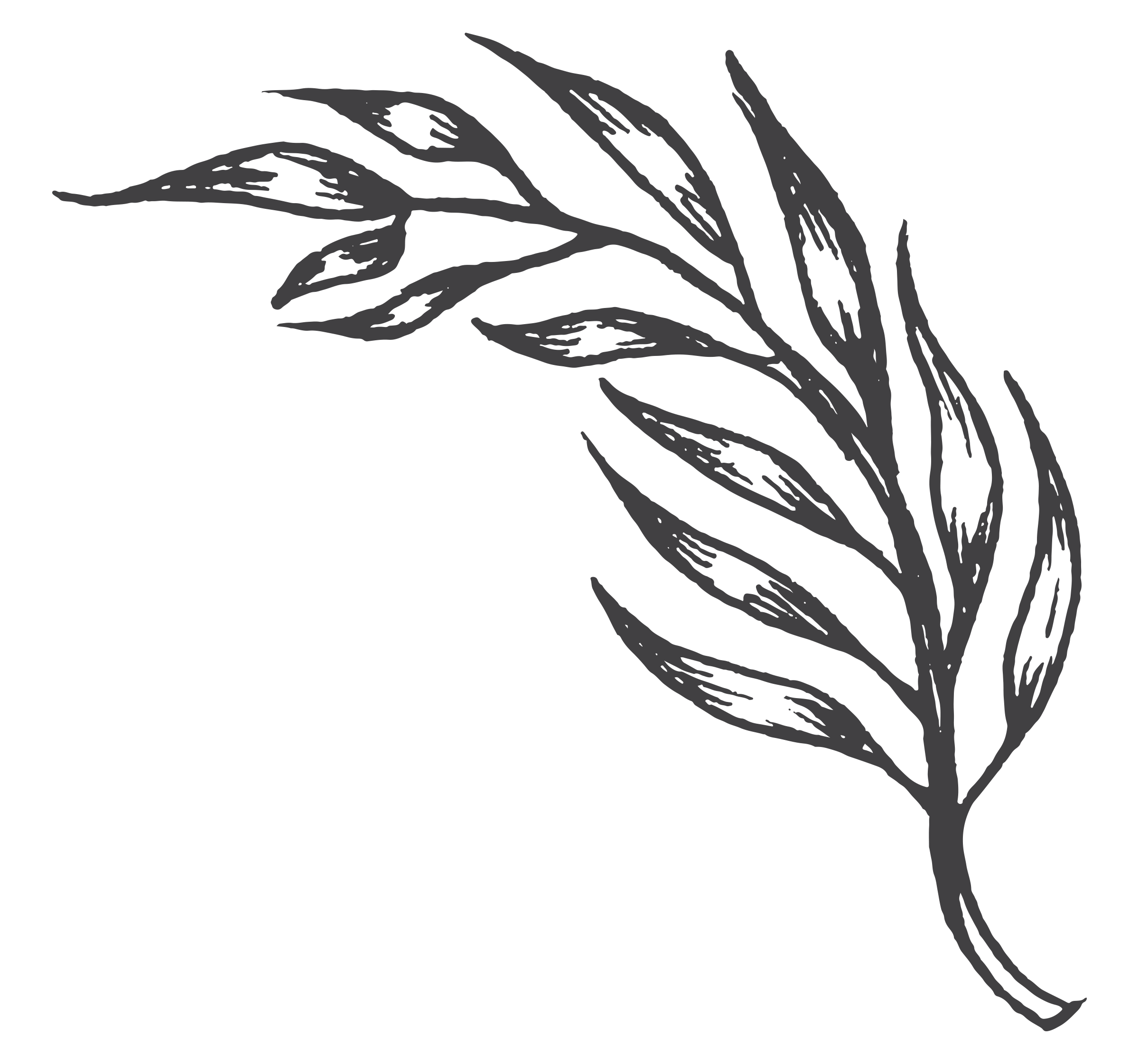 2400x2242 Daily Programs Kona Historical Society