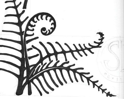 500x400 Image Result For Fern Drawings Hall Ideas Drawings, Art
