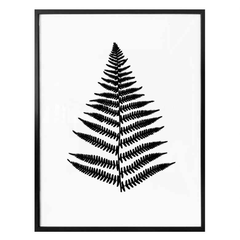 780x780 Poster Fern Wall
