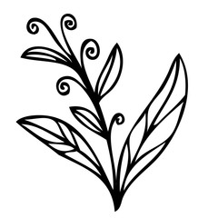 240x240 Search Photos