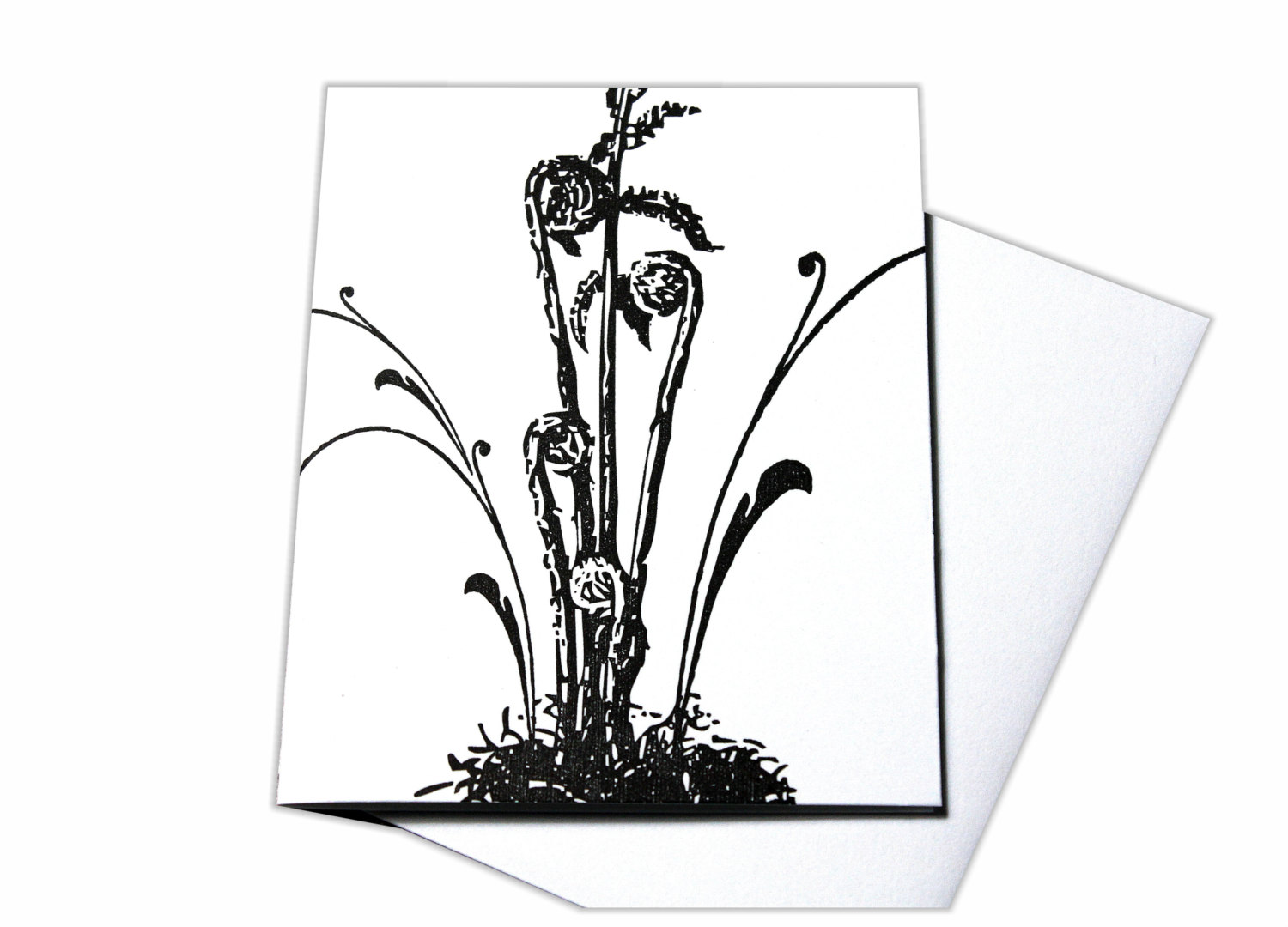 1500x1080 Woodland Fern Blank Letterpress Card Etsy