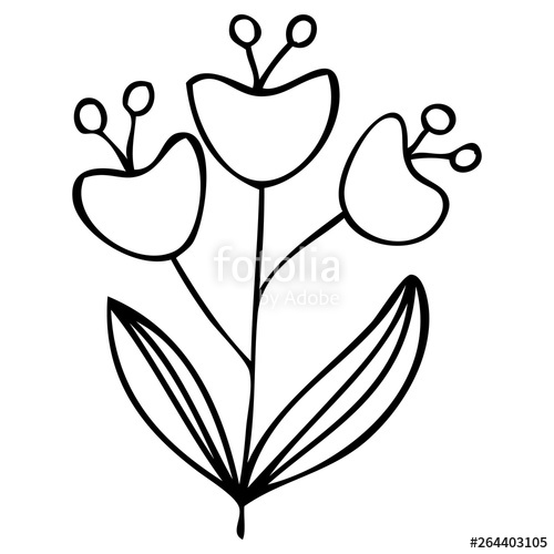 500x500 Set Collection Forest Fern Eucalyptus Art Foliage Natural Leaves