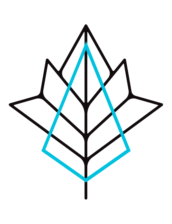 591x768 About Us Maple Fern Homes