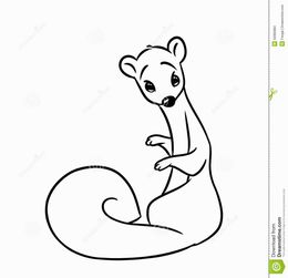 260x251 Download Cat Clipart Ferret Cat Carnivores Cat,illustration