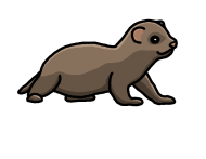 190x147 Ferret, Cute, Animal, Drawing, Comic Men's V Neck T Shirt