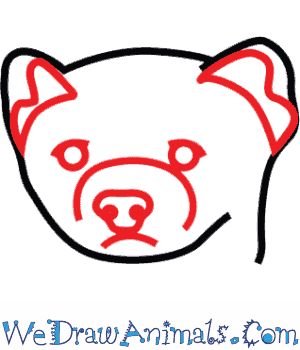 300x350 How To Draw A Black Footed Ferret