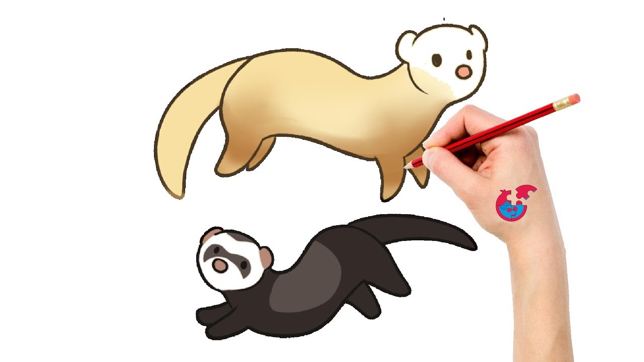 1280x720 Learning How To Draw Animals For Toddlers Polecat