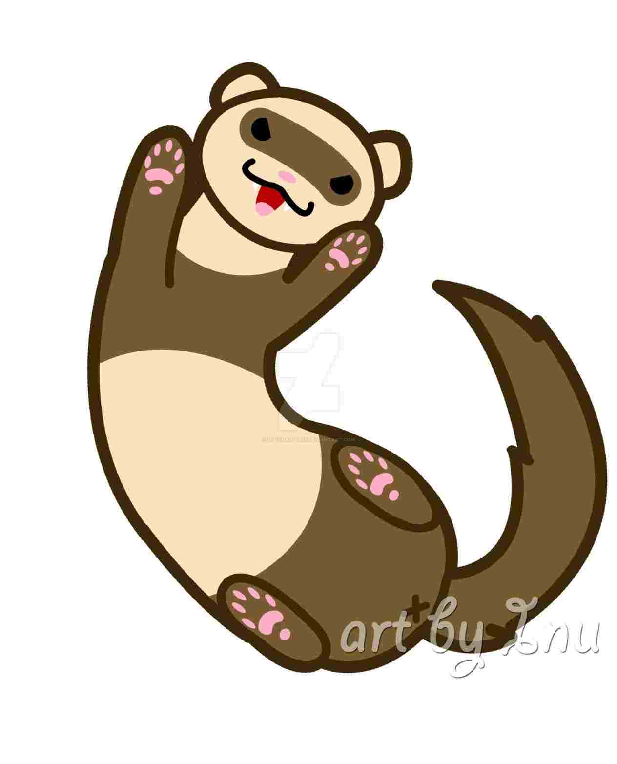 1264x1565 Ferret Drawing Cartoon