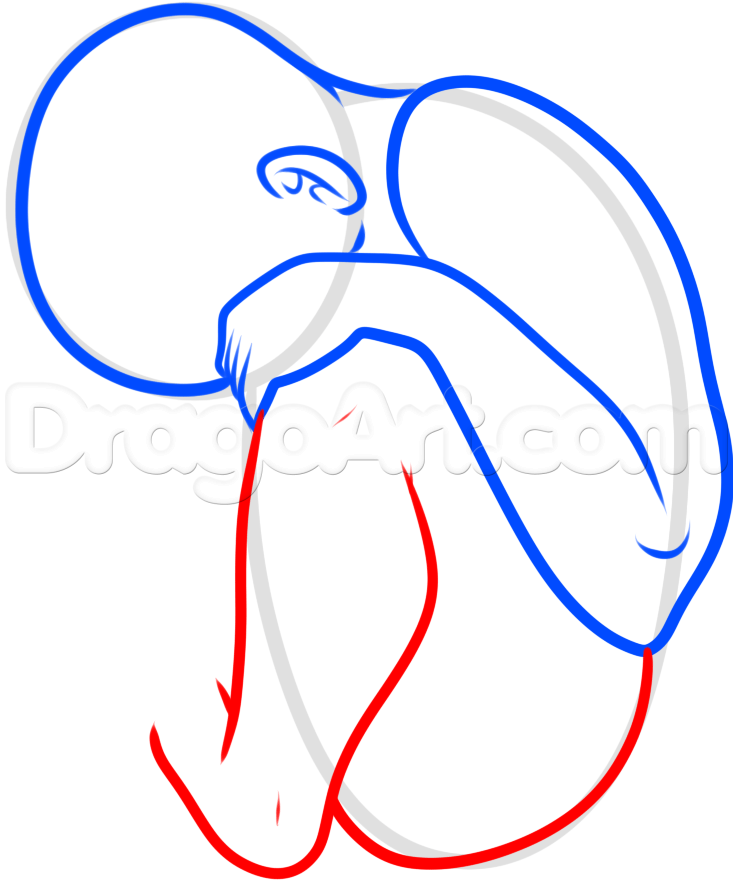 733x886 How To Draw A Fetus, Step