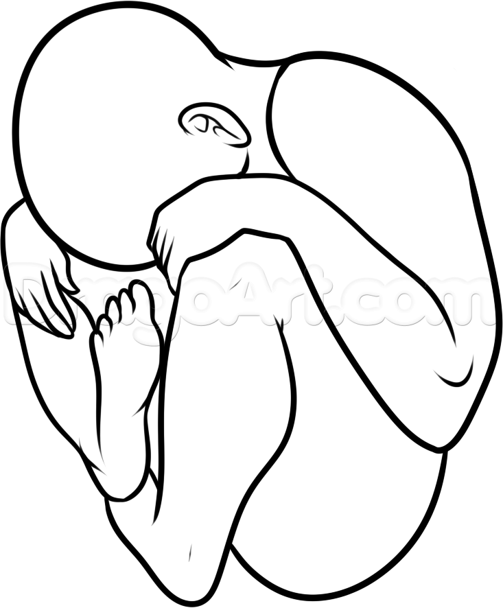733x886 How To Draw A Fetus Step Foetus Drawings, Online Drawing, Artist