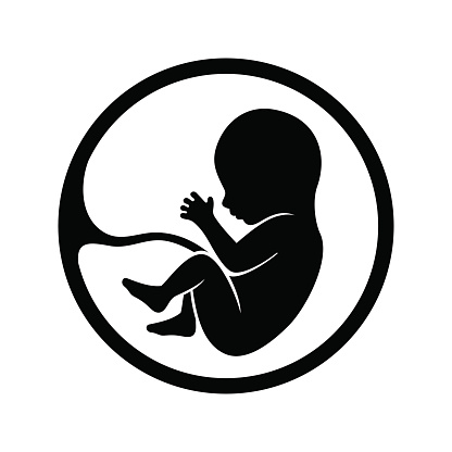 416x416 clipart baby in womb