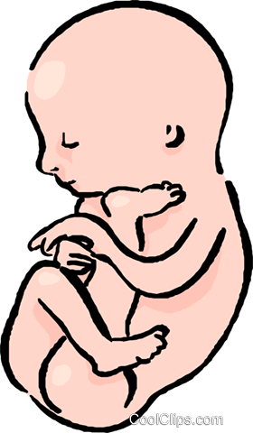 280x480 collection of free transparent baby womb clipart download on ui ex