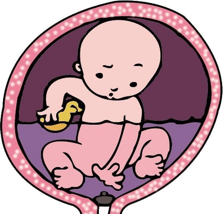 749x720 Imagenes Bebe Buscadas Para Batas Remeras De Maternidad