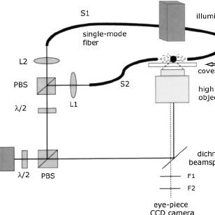 308x308 Schematic Drawing Of Our Combined Optical Tweezers And Fiber