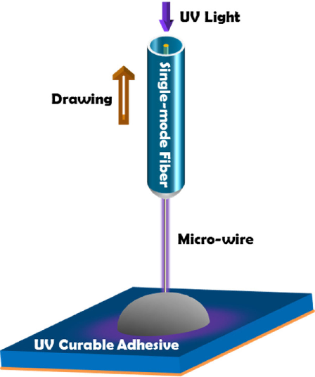 448x536 Through Fiber Drawing Of Microwires An Online Photonic Bridge