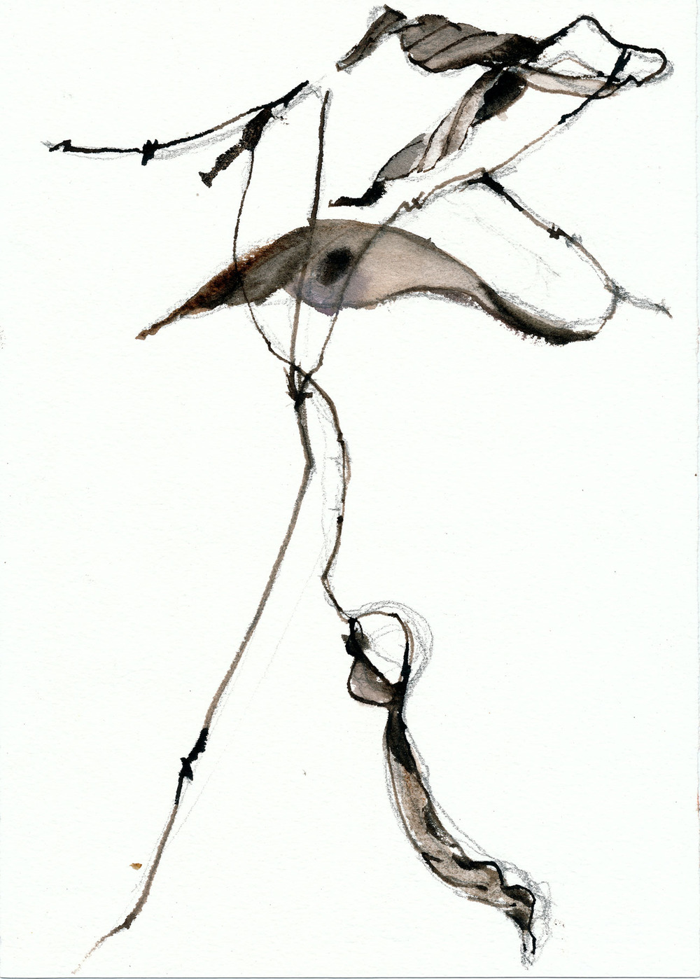 1000x1398 Field Studies Abby Goldstein Art + Design