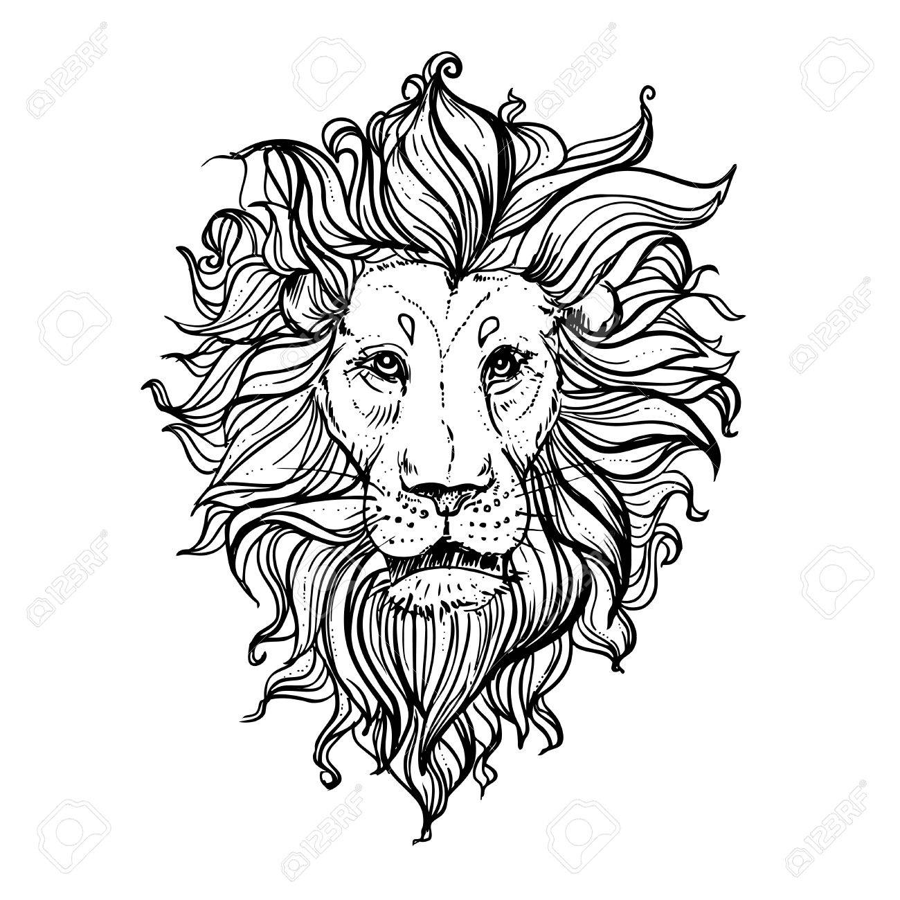 1300x1300 Lion Sketch