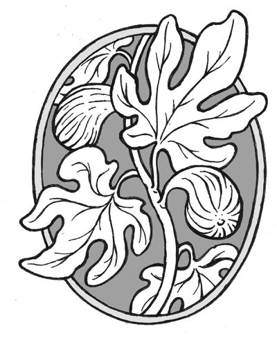 Fig Leaf Drawing