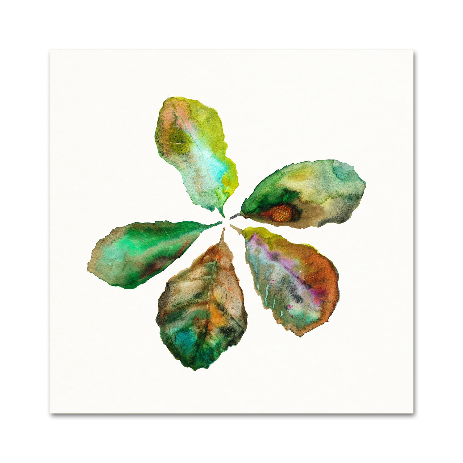 1500x1500 fiddle leaf fig watercolor art print botanical painting etsy