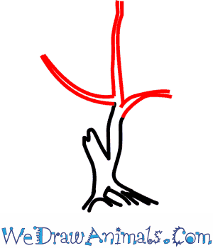 300x350 how to draw a fig tree