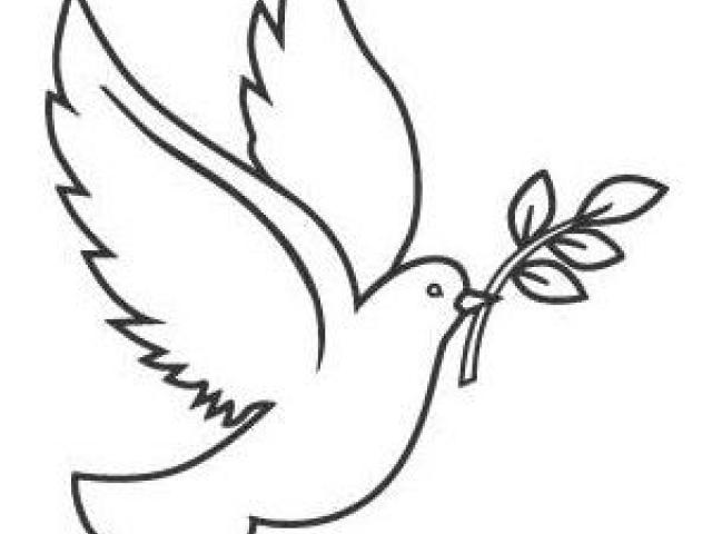 640x480 White Dove Clipart Fig Leaf