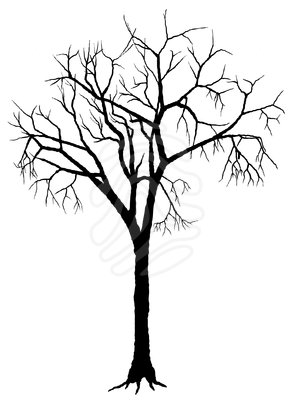 295x400 cursing fig trees, moving mountains, and praying a lenten