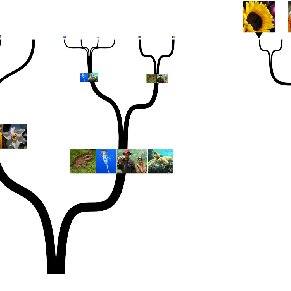 291x291 Different Ways Of Drawing Branches