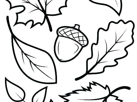 440x330 fall leaf drawing fall leaf drawing easy