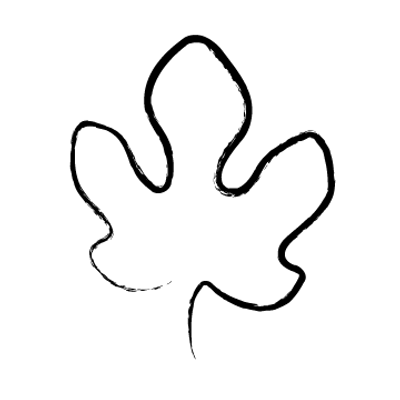 400x400 Fig Tree Ibiza On Twitter Take A Breath