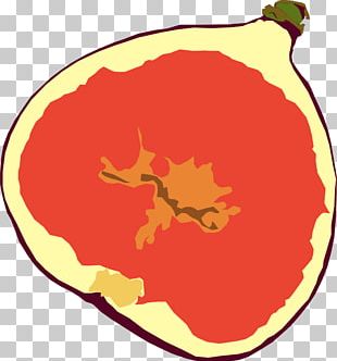 310x332 Mission Fig Cartoon Tree Png, Clipart, Area, Artwork, Cartoon