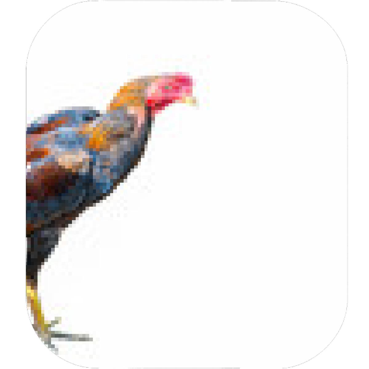 1200x1200 Designs Mein Mousepad Design Mousepad Selbst Designen