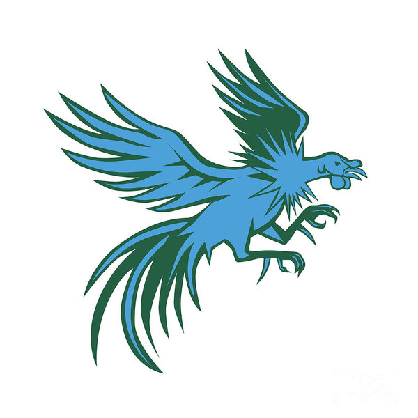 600x600 Fighting Roosters Art Fine Art America