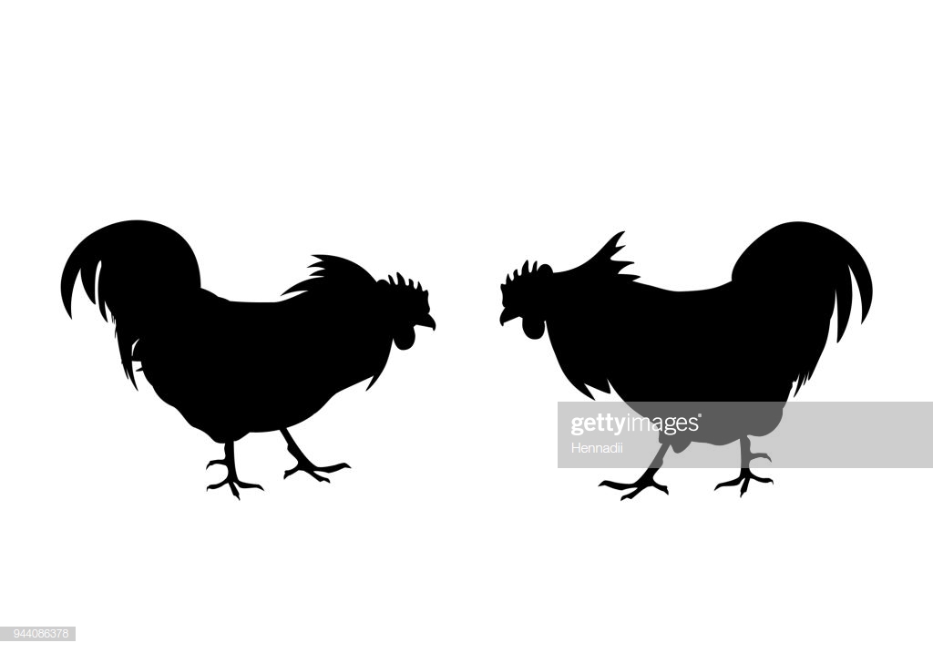 1024x717 Huge Collection Of 'fighting Rooster Silhouette' Download More