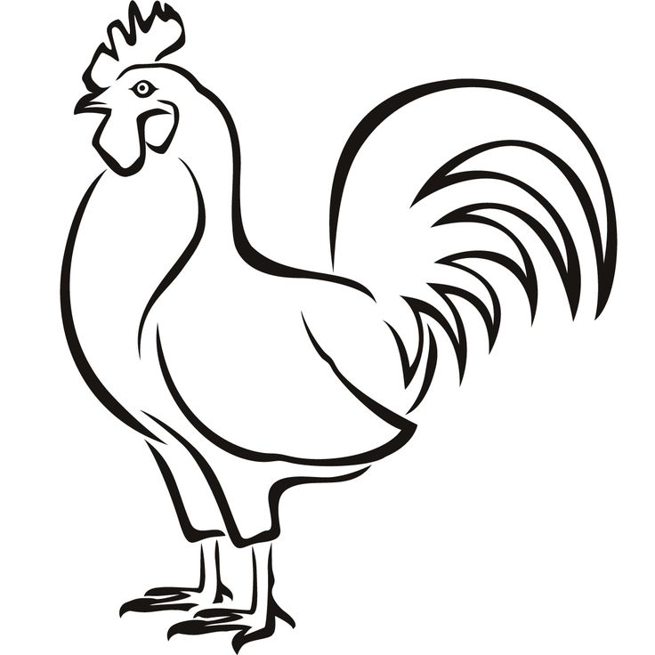 736x736 Images Of Fighting Rooster Outline