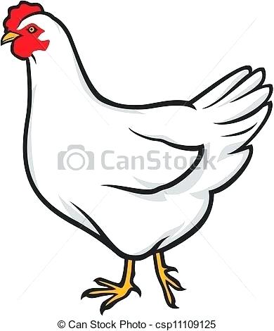 390x470 Chicken Drawings A Complete Sketch Of A Female Chicken Cute