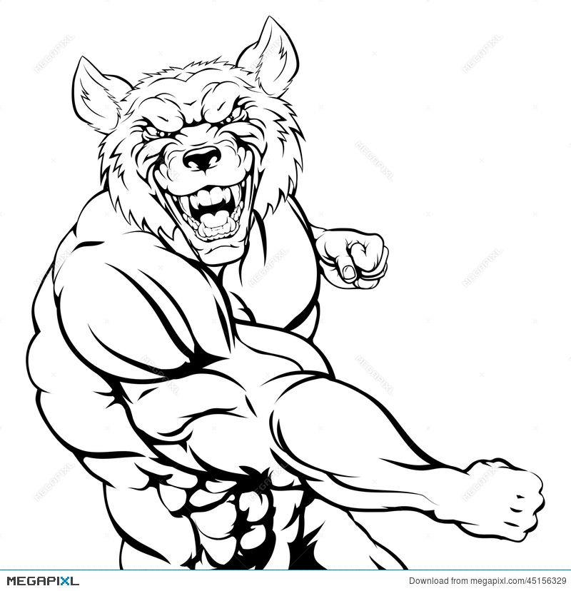 800x828 Fighting Wolf Mascot Illustration